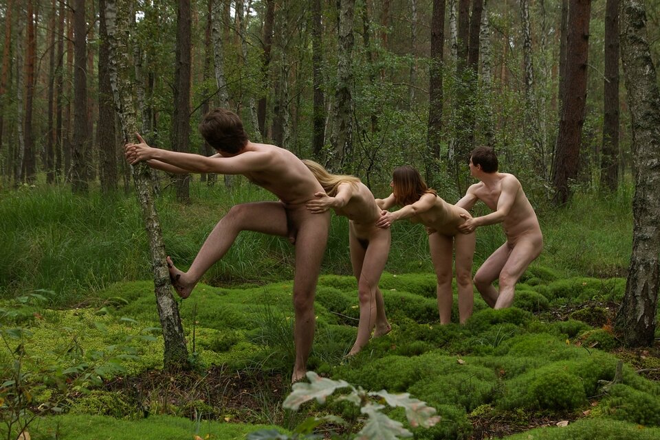 lesne harce 3.jpg - heissespaar