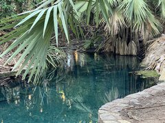 IMG_2918.jpeg