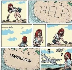 Swallow.jpeg