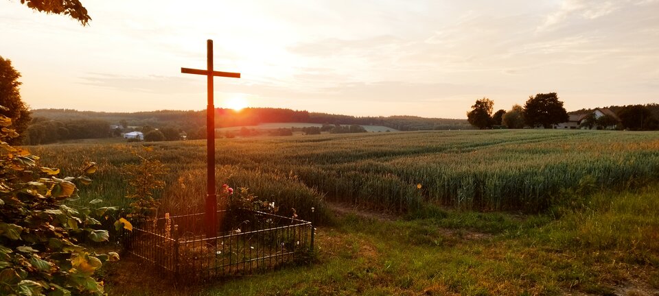 IMG_20230617_205411.jpg - Roderich30