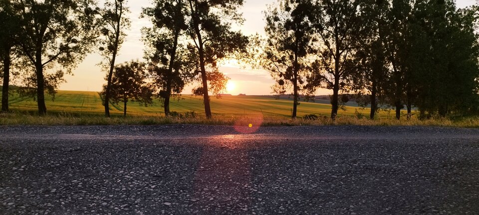 IMG_20230617_204857.jpg - Roderich30