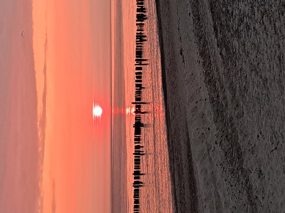 20230620_043521.jpg - Onizkoszalina