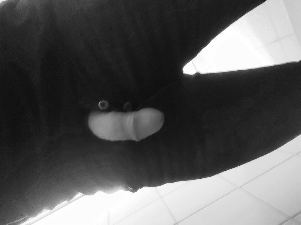 16872514864312588930967529765835.jpg - Giwera86