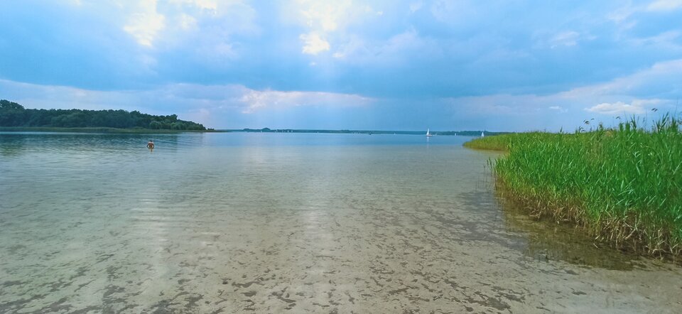 Kąpiel? - Domator11