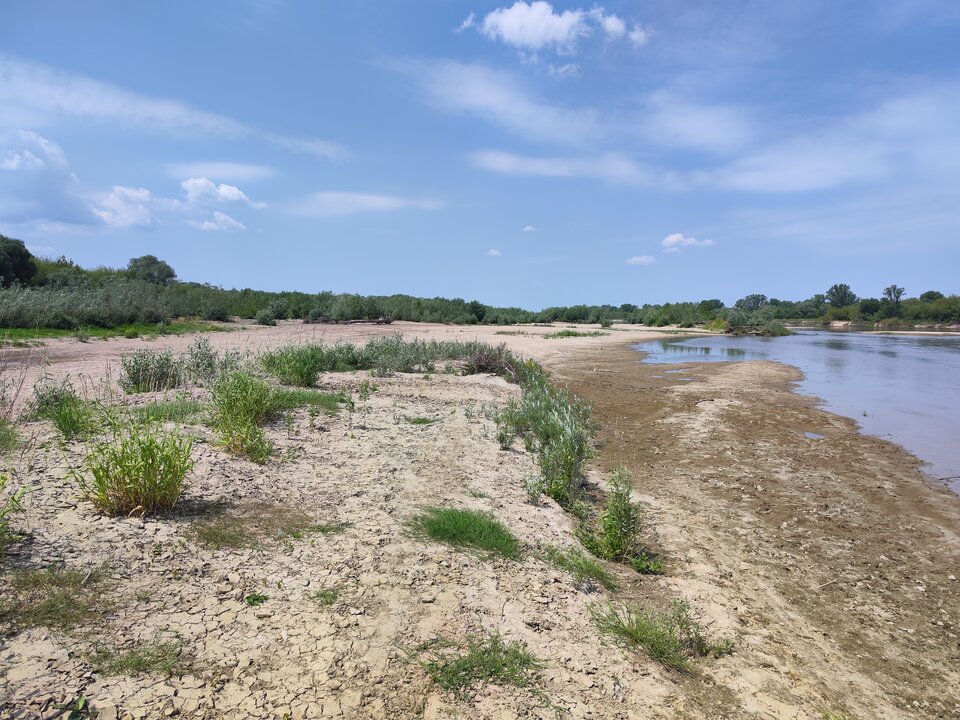 2023-06-2012.11.411789094280858625407.jpg - tom6970