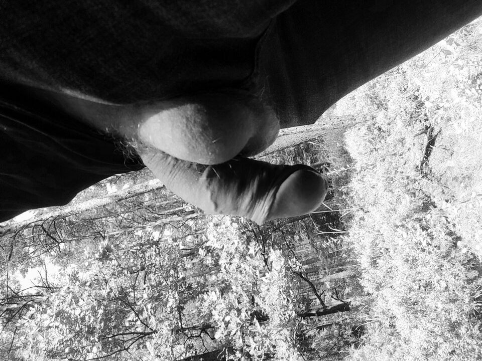 16872591781176716796343499952738.jpg - Giwera86