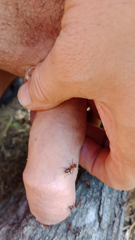 16872764682891890262508674707124.jpg - eroteooo