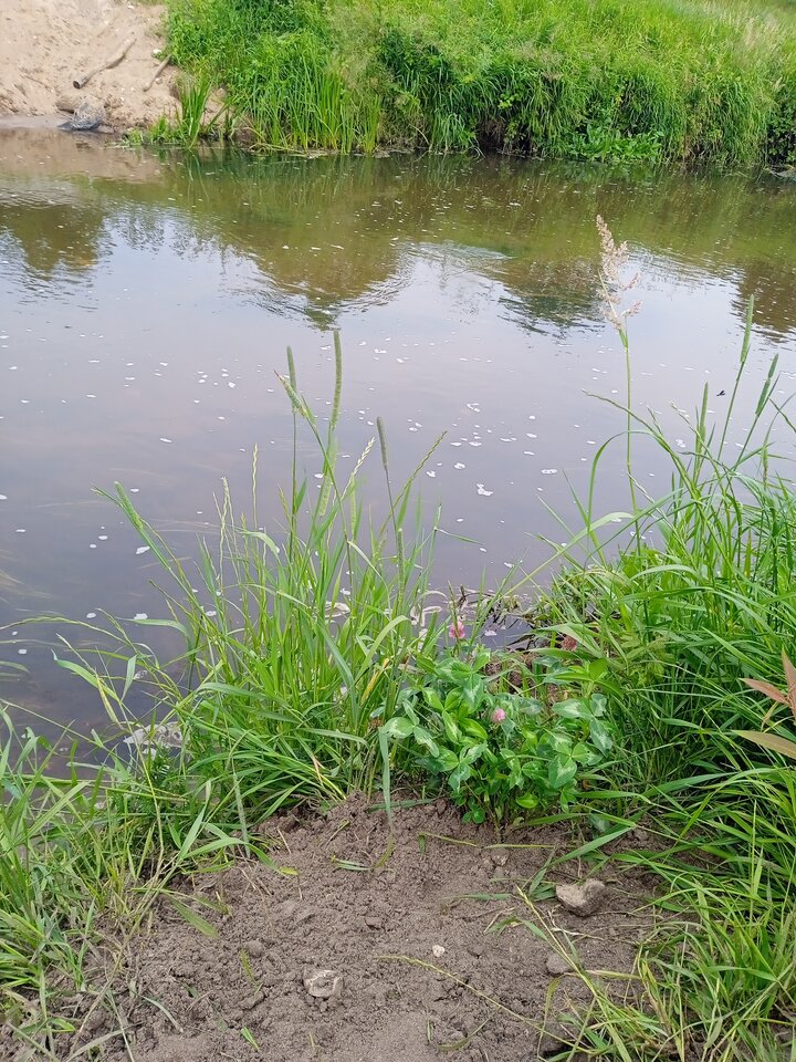 16872765824941111299041297117535.jpg - mandoszek1234