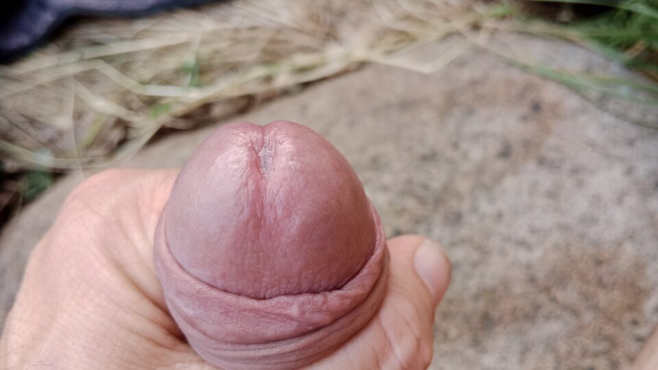 16872800373548292183938418678833.jpg - eroteooo