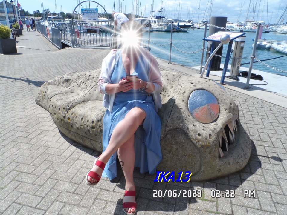 SAM_1368.JPG - ika13