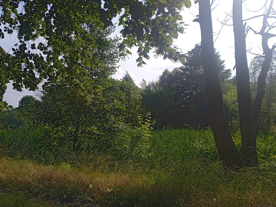 16873599796112289715382640917360.jpg - mandoszek1234