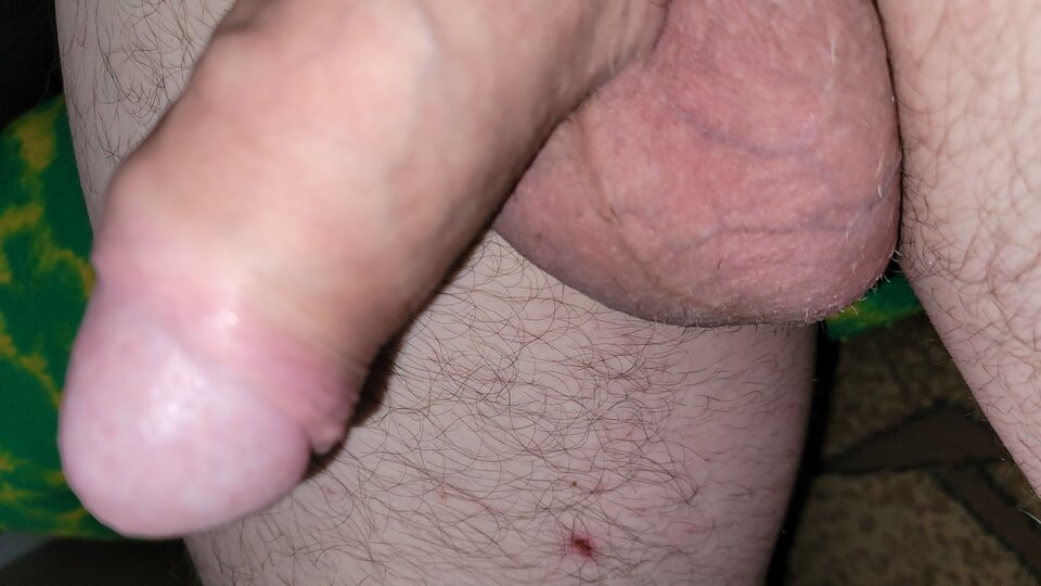 20230621_120445.jpg - Krisss36s