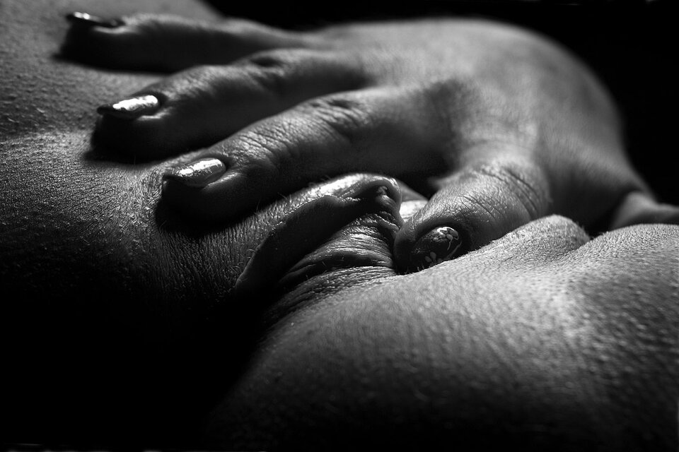 _MG_3286.jpg - Trektrek