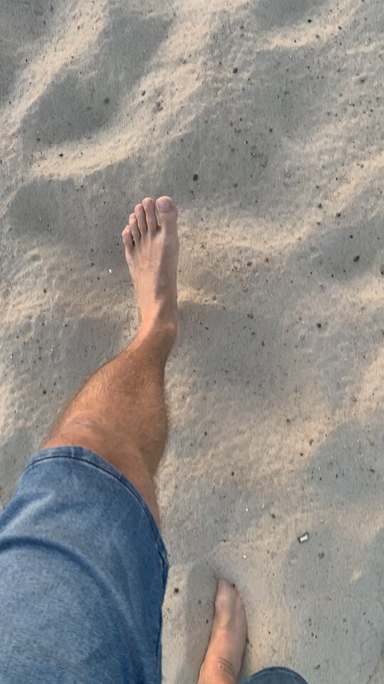 IMG_1537.jpeg - moby_dick