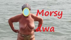 Morsica Wraca na brzeg.