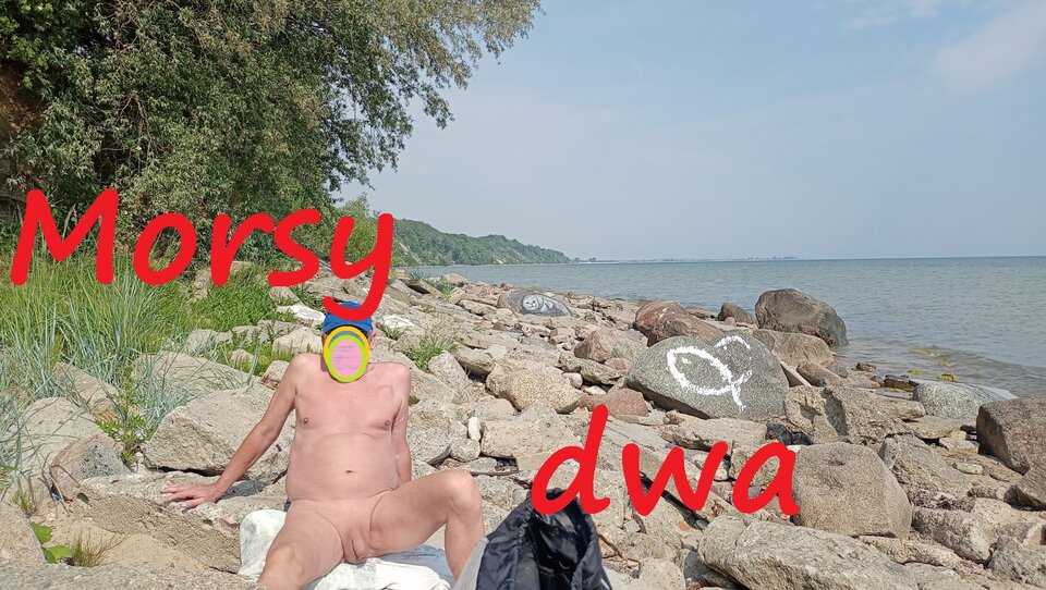 Grzania członków ! - Morsy_dwa