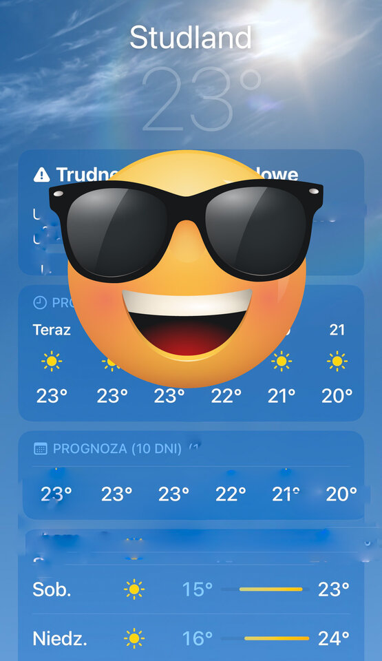 1D96E410-48FA-48E7-AA4E-B84A23D07EC3.jpeg - NICK044