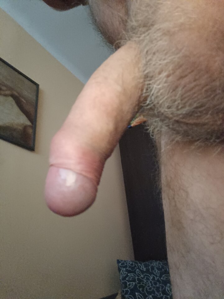 16874920629592013288838349718098.jpg - ardas1