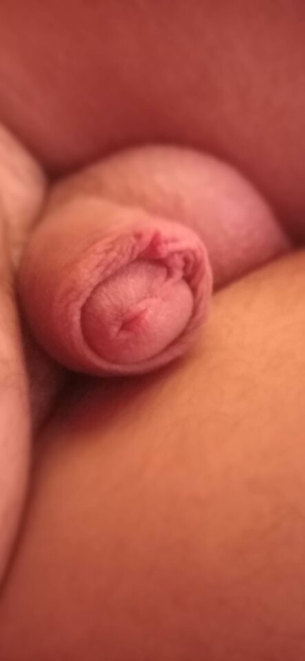 IMG_20230623_064220.jpg - jestedward