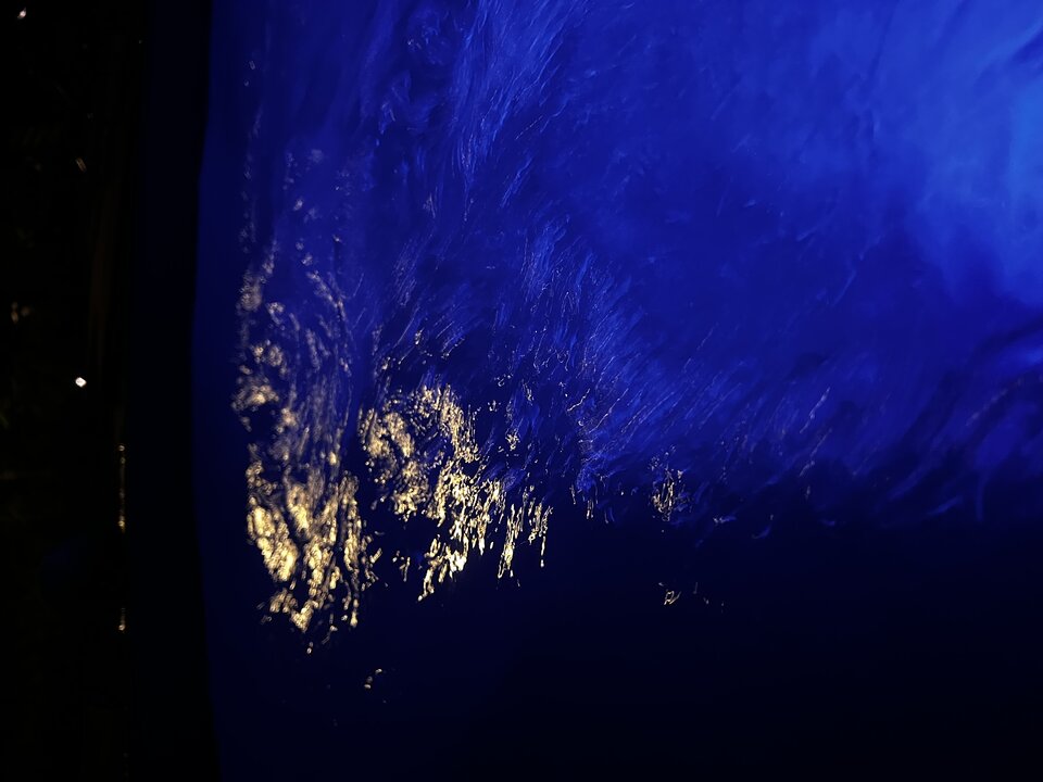 B54BF3D0-6E50-47A7-8936-16E0539B91A8.jpeg - Marcell1976