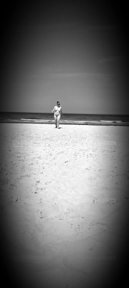 Syrena wychodzi na ląd - szalonaparkakrk890