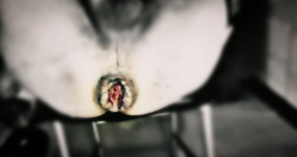 Polish_20230618_052217031.jpg - ArekNo1