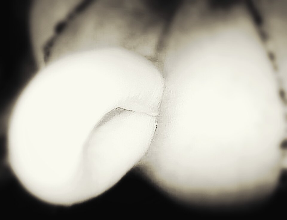 Polish_20230618_051415919.jpg - ArekNo1