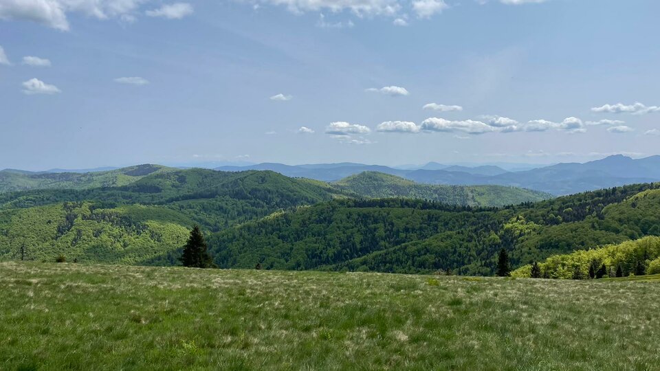 9FDCE098-E01A-4D8D-A7FD-DEB8A6A4C93C.jpeg - Moniqa7