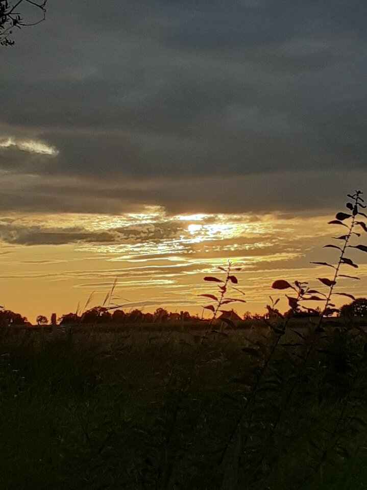 received_463952091294382.jpeg - Zwar