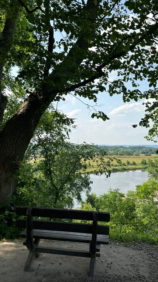 IMG_2023062234.jpg - Nicci