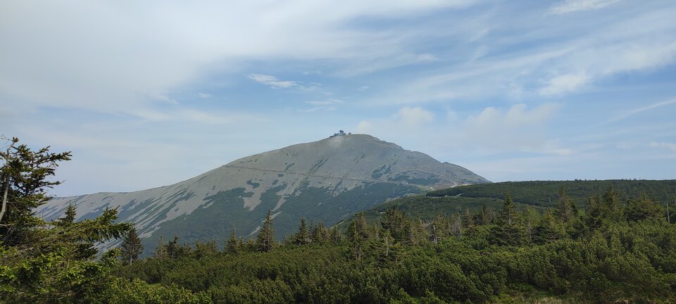 IMG_20230610_163217.jpg - misiek741