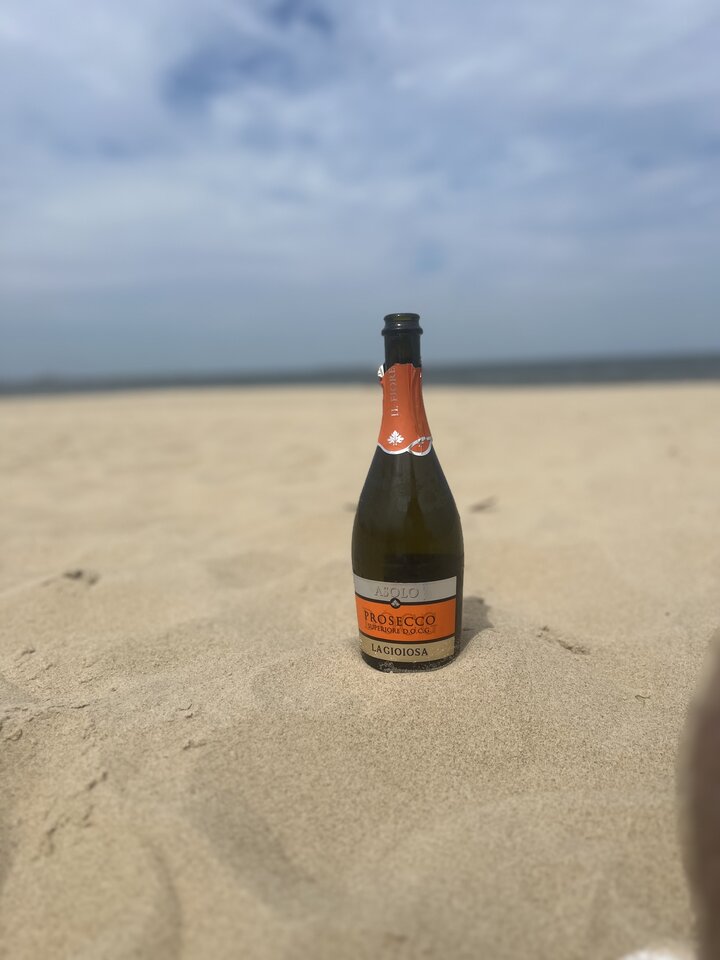 IMG_0145.jpeg - Wick133