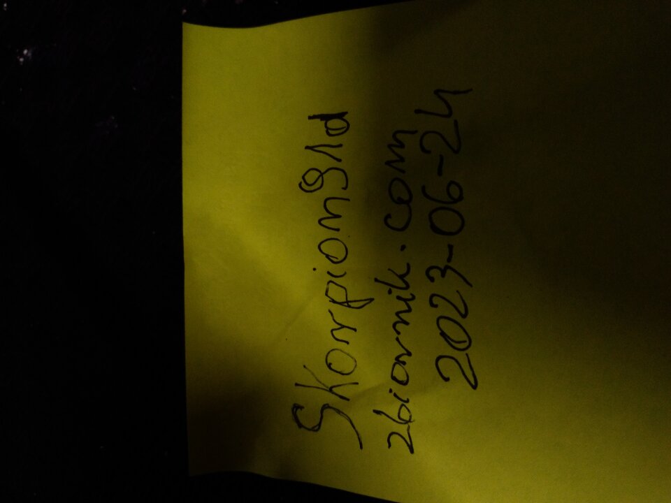 20230624_153707.jpg - Skorpion91d