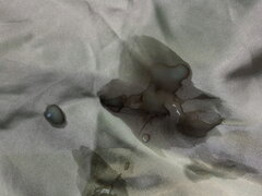 20230624_160031.jpg