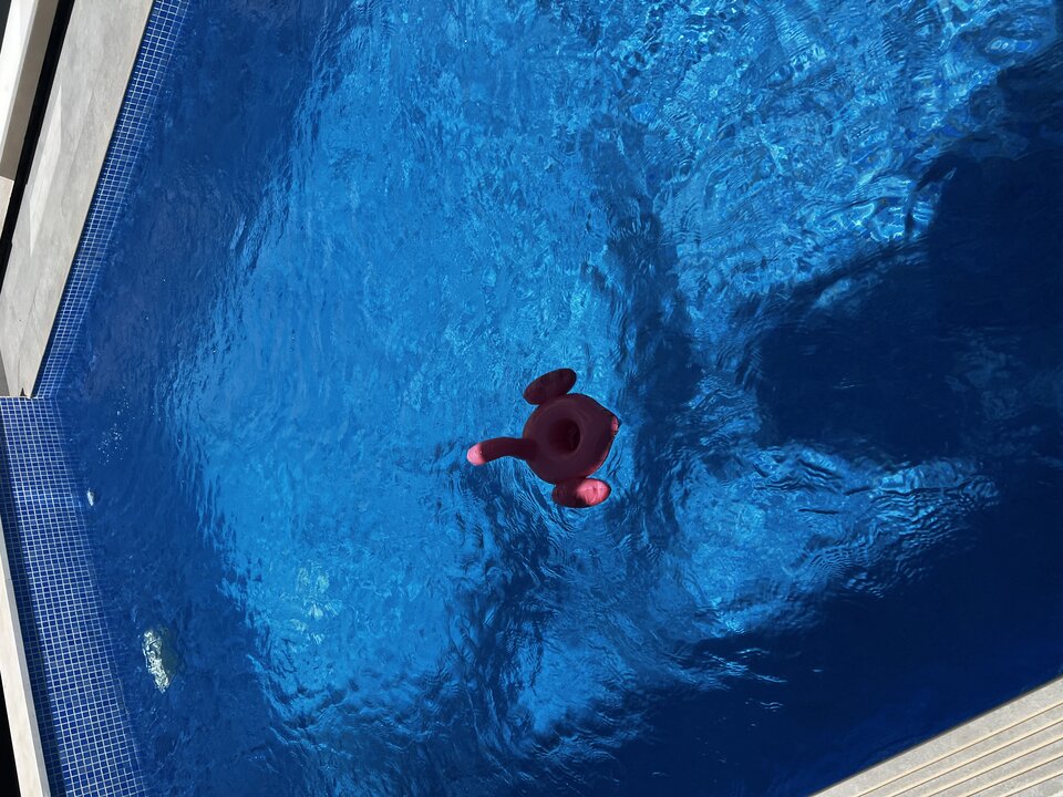 IMG_2242.jpeg - Mysiopysio7669