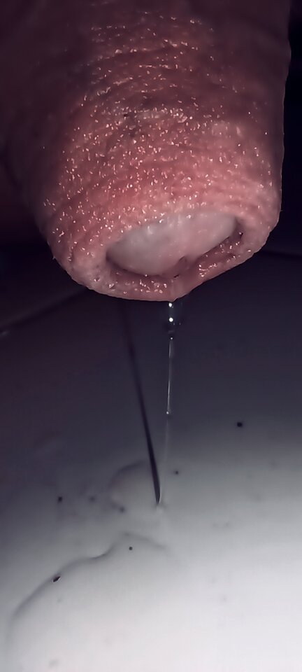 IMG_20230625_090656.jpg - belton50000