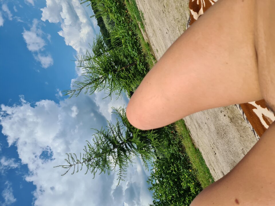 1000004140.jpg - Dementor1981