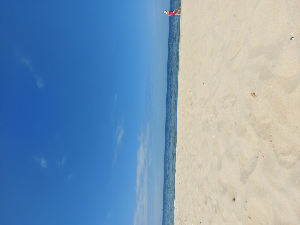 20230625_133245.jpg - gocha33