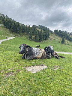 IMG_0608.jpeg