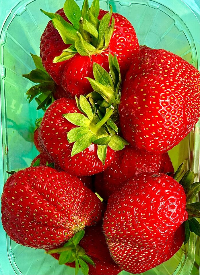 16A9BD50-845E-48A3-99D0-F9E4A1995B77.jpeg - NaturystaXXX
