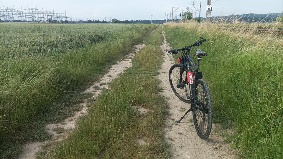 16877050811791837478514600567195.jpg - Sexmilfq