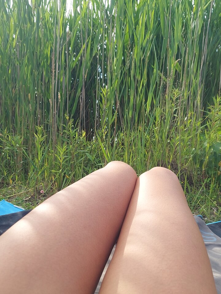 Lipne szuwary.jpg - Szaleni_dwa