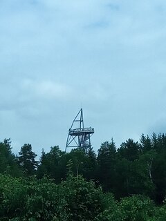 IMG_20230625_114415_895.jpg