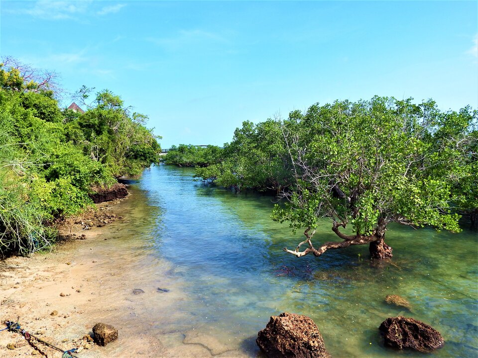 DSCF5110.JPG - BzykamySie