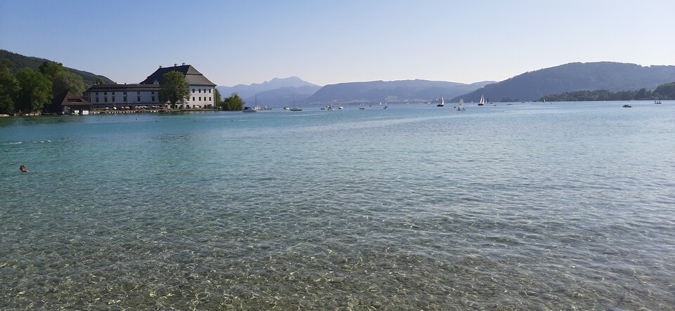 20230625_173936.jpg - kolba7