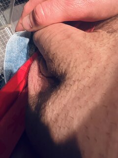 IMG_2239.jpeg