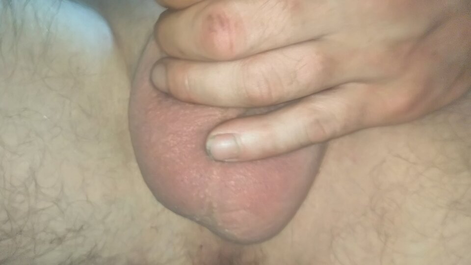 DSC_0008.JPG - Ps12cm