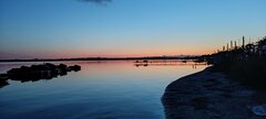 IMG_20210804_212601.jpg