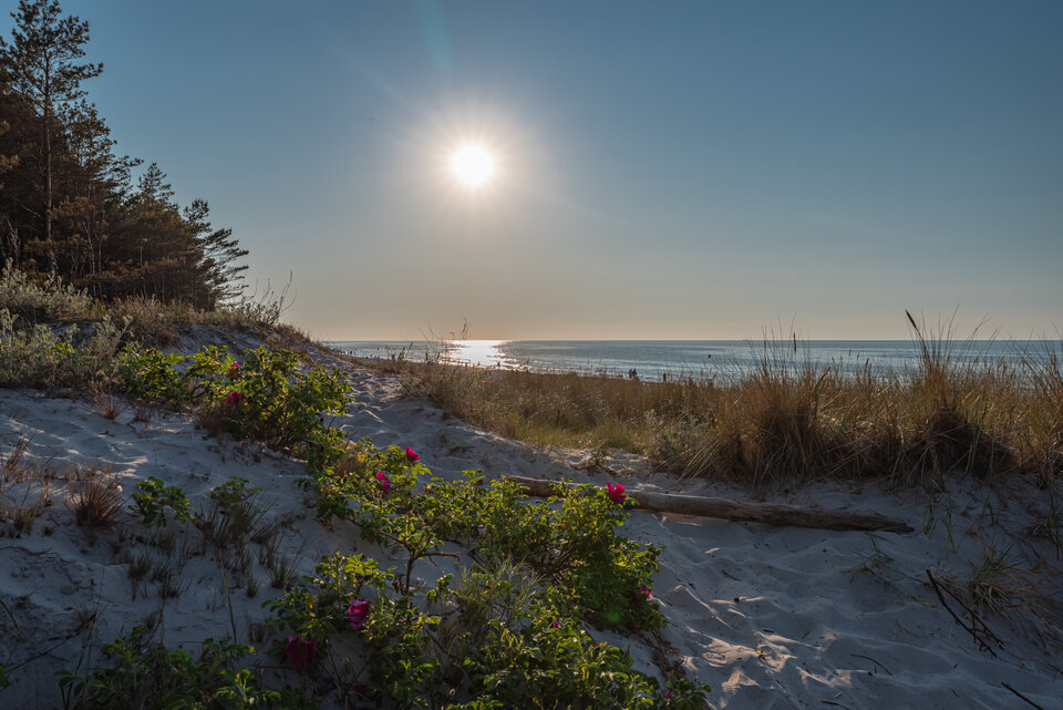 Ku zachodowi - mystic