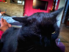 IMG_1655.jpeg